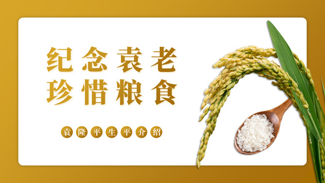 纪念袁隆平珍惜粮食PPT模板_第2页PPT效果图