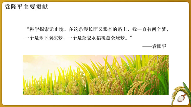 纪念袁隆平珍惜粮食PPT模板_第5页PPT效果图