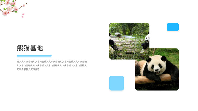 成都介绍旅游攻略PPT模板_第10页PPT效果图