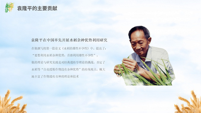 缅怀杂交水稻之父袁隆平PPT模板_第10页PPT效果图