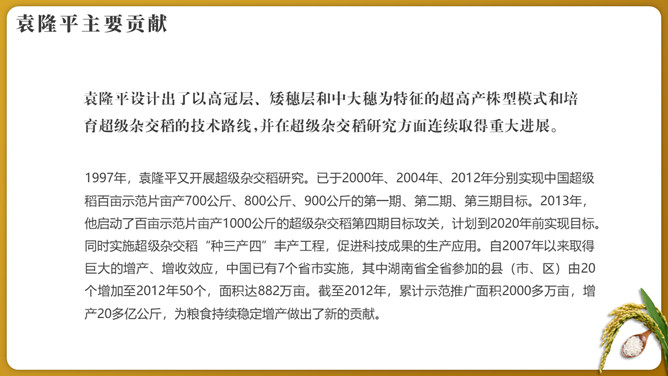 纪念袁隆平珍惜粮食PPT模板_第10页PPT效果图