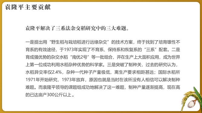 纪念袁隆平珍惜粮食PPT模板_第7页PPT效果图