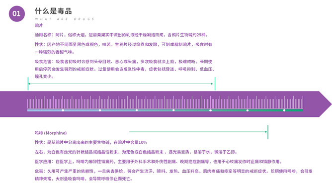 珍爱生命远离毒品教育PPT模板_第4页PPT效果图