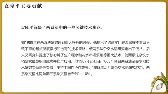 纪念袁隆平珍惜粮食PPT模板_第9页PPT效果图