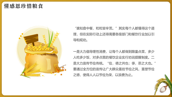 纪念袁隆平珍惜粮食PPT模板_第14页PPT效果图