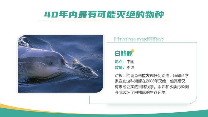 保护野生动物从我做起PPT模板_第10页PPT效果图