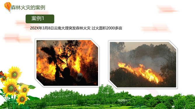 森林防火人人有责PPT模板_第7页PPT效果图