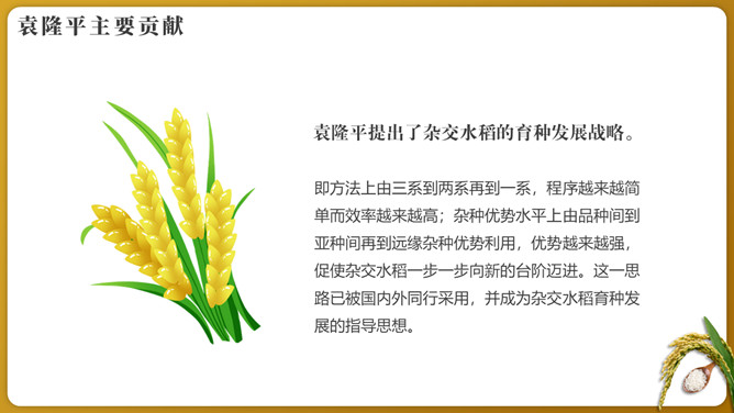 纪念袁隆平珍惜粮食PPT模板_第8页PPT效果图