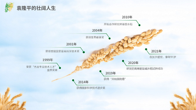 缅怀杂交水稻之父袁隆平PPT模板_第5页PPT效果图