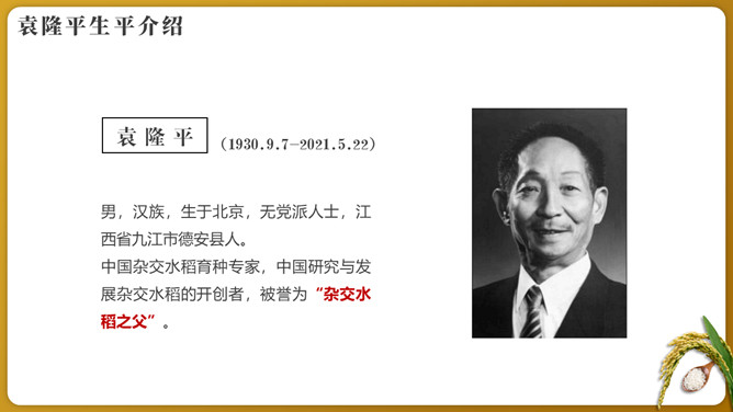 纪念袁隆平珍惜粮食PPT模板_第3页PPT效果图