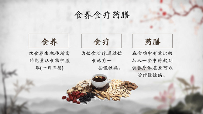 中医中药饮食与养生PPT模板_第14页PPT效果图