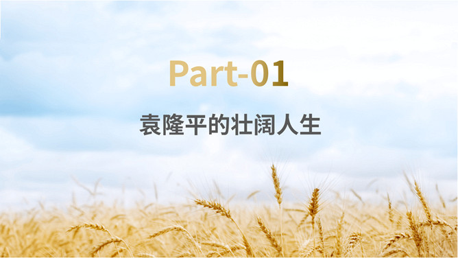缅怀杂交水稻之父袁隆平PPT模板_第2页PPT效果图