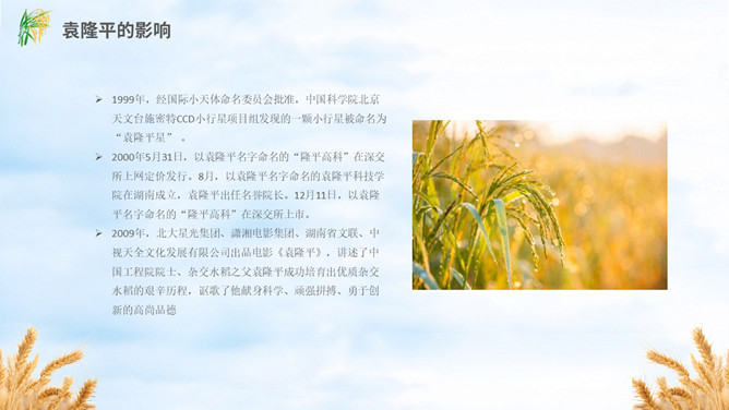 缅怀杂交水稻之父袁隆平PPT模板_第14页PPT效果图